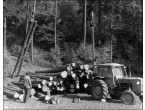 Foto 15: Stožárový lanový systém LS 1,5-300